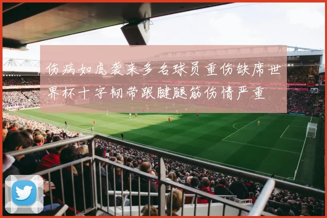 伤病如虎袭来多名球员重伤缺席世界杯十字韧带跟腱腿筋伤情严重