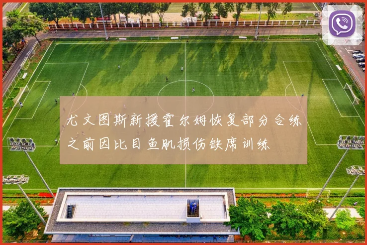 尤文图斯新援霍尔姆恢复部分合练之前因比目鱼肌损伤缺席训练
