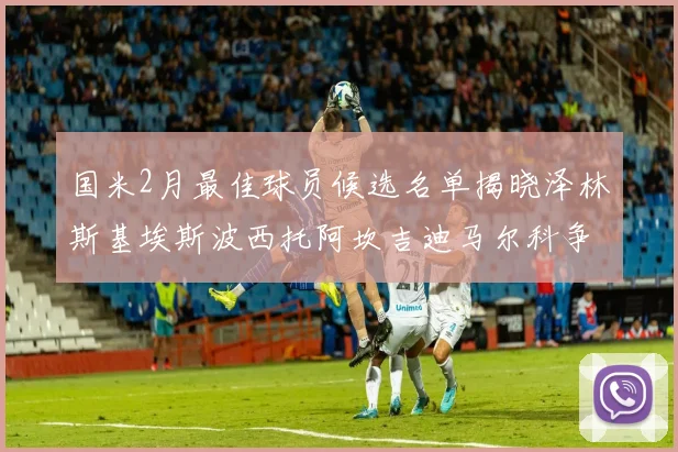 国米2月最佳球员候选名单揭晓泽林斯基埃斯波西托阿坎吉迪马尔科争夺荣誉