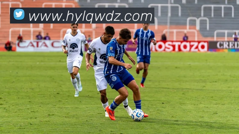 星空平台生态图